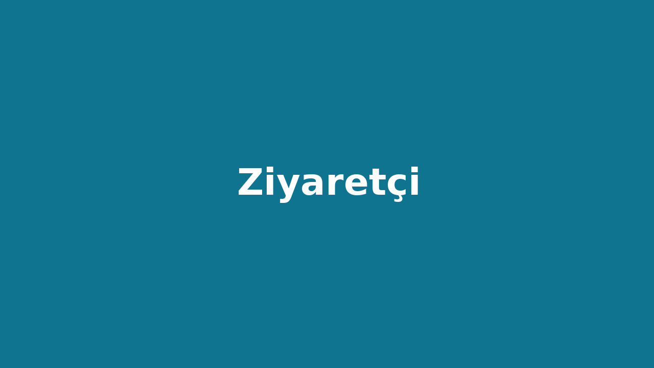 Ziyaretçi